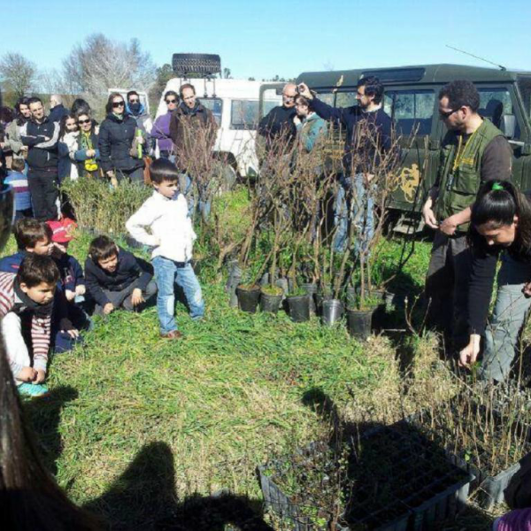 Taller Reforestación